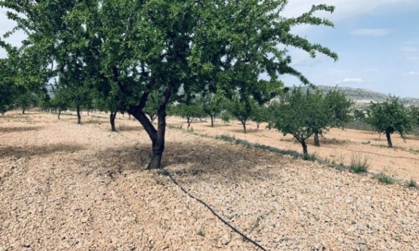 Sale - Plot Land -
La Romana