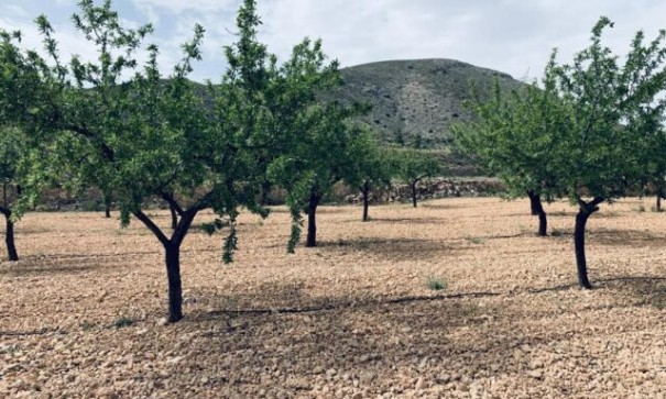 Sale - Plot Land -
La Romana