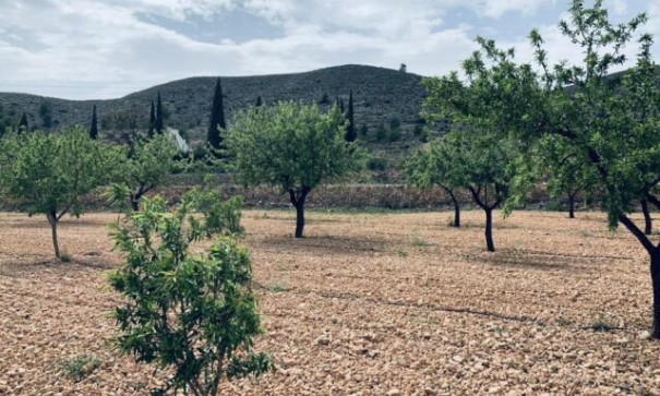 Sale - Plot Land -
La Romana