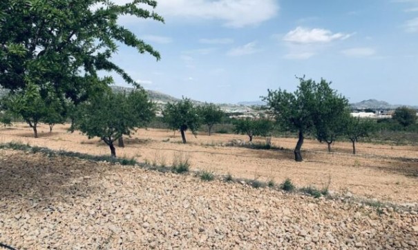 Sale - Plot Land -
La Romana