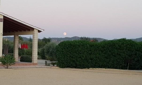 Videresalg - Fritliggende villa -
Macisvenda - MACISVENDA