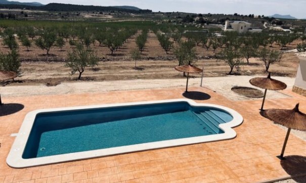 Sale - Detached Villa -
Pinoso