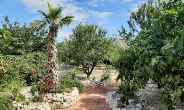 Återförsäljning - Fristående villa -
Barbarroja