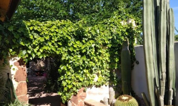 Återförsäljning - Fristående villa -
Barbarroja