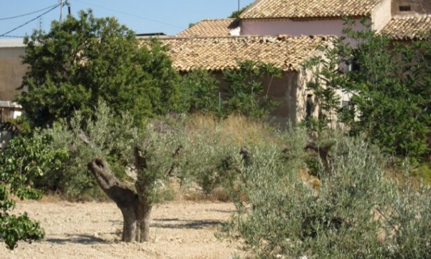 Återförsäljning - Fristående villa -
La Romana