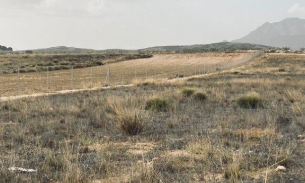 Venta - Parcela Terreno -
Torre del Rico