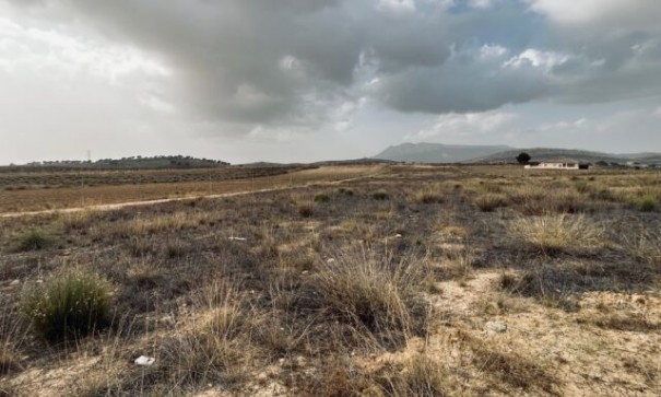 Venta - Parcela Terreno -
Torre del Rico