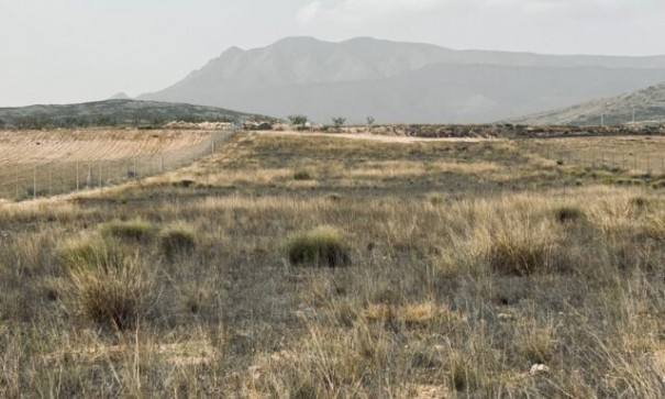 Venta - Parcela Terreno -
Torre del Rico