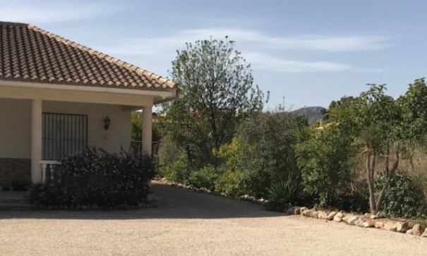 Venta - Chalet Independiente -
Fortuna