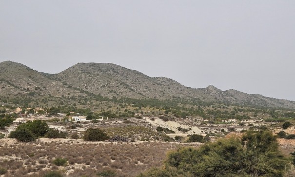 Sale - Plot Land -
Novelda