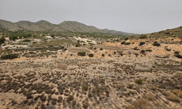 Sale - Plot Land -
Novelda