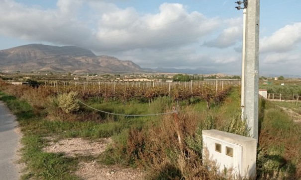 Perceel Grond - Herverkoop - Monforte del Cid -
                Monforte del Cid