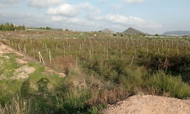 Sale - Plot Land -
Monforte del Cid