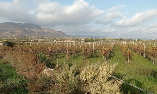 Sale - Plot Land -
Monforte del Cid