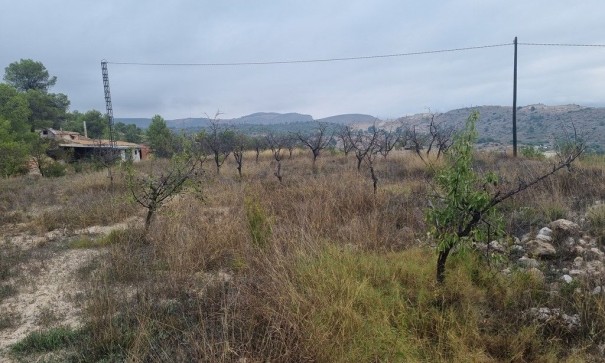 Videresalg - Finca landejendom -
La Romana