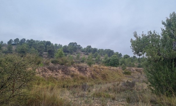 Videresalg - Finca landejendom -
La Romana