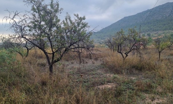 Videresalg - Finca landejendom -
La Romana