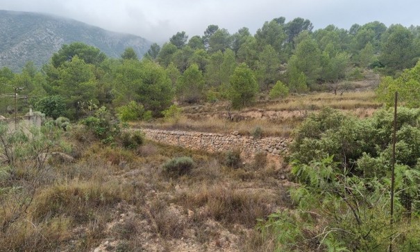 Videresalg - Finca landejendom -
La Romana