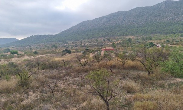 Videresalg - Finca landejendom -
La Romana