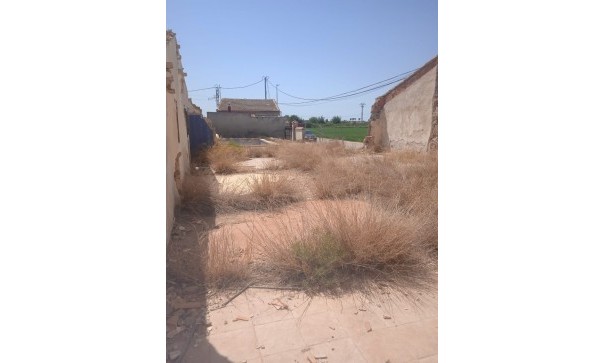 Återförsäljning - Vomt Mark -
Catral