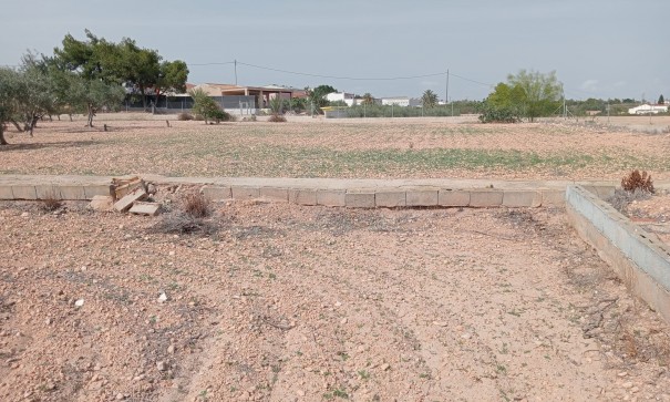 Revente - Finca Propriété rurale -
Crevillente