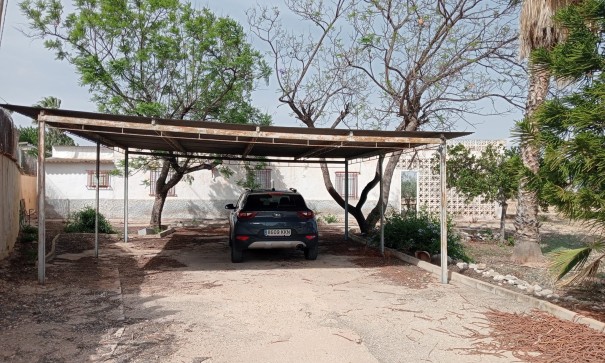 Revente - Finca Propriété rurale -
Crevillente