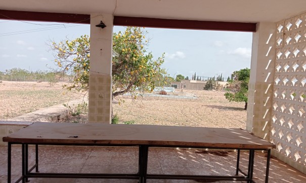 Revente - Finca Propriété rurale -
Crevillente