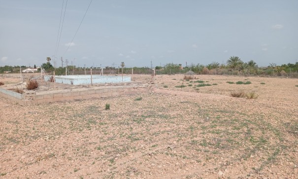 Revente - Finca Propriété rurale -
Crevillente