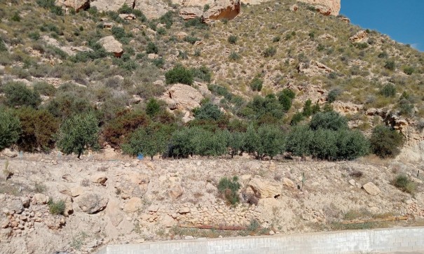 Resale - Finca Landgut -
Crevillente