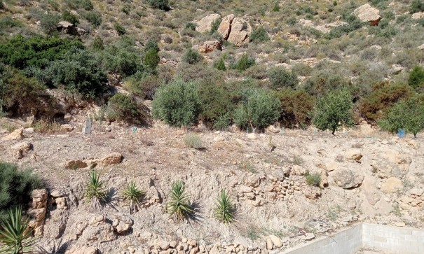 Resale - Finca Landgut -
Crevillente