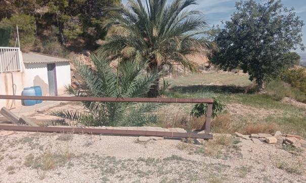 Resale - Finca Landgut -
Crevillente