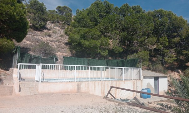 Resale - Finca Landgut -
Crevillente