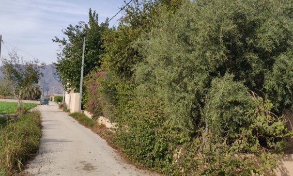 Återförsäljning - Finca lantlig egendom -
Orihuela