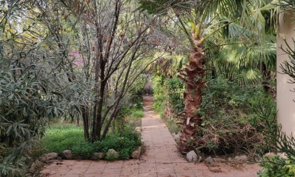 Återförsäljning - Finca lantlig egendom -
Orihuela