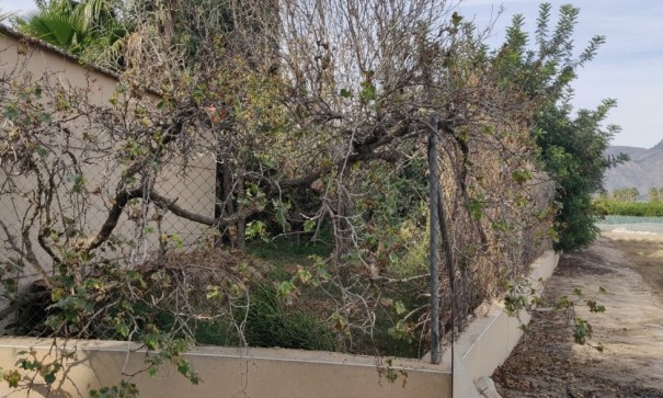 Återförsäljning - Finca lantlig egendom -
Orihuela