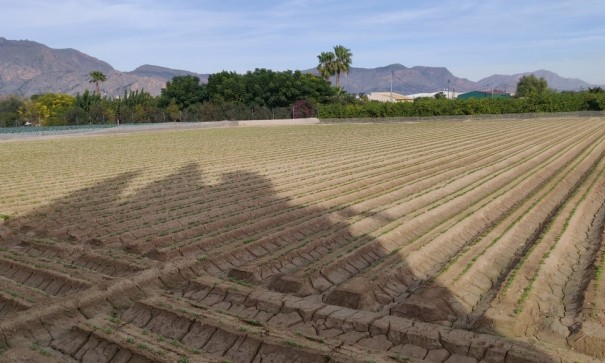 Återförsäljning - Finca lantlig egendom -
Orihuela