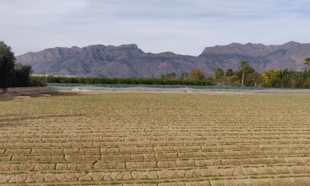 Återförsäljning - Finca lantlig egendom -
Orihuela