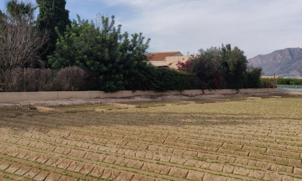 Återförsäljning - Finca lantlig egendom -
Orihuela
