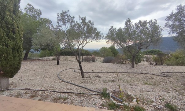 Videresalg - Finca landejendom -
Tibi