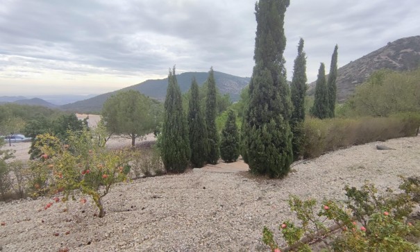 Videresalg - Finca landejendom -
Tibi