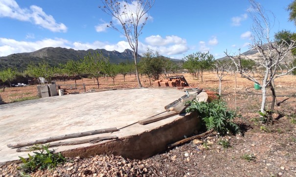 Sprzedaż - Finca nieruchomość wiejska -
La Romana