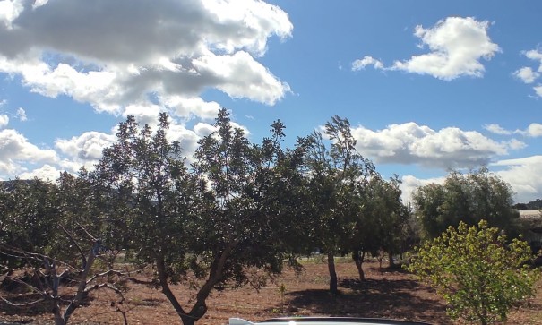 Sprzedaż - Finca nieruchomość wiejska -
La Romana