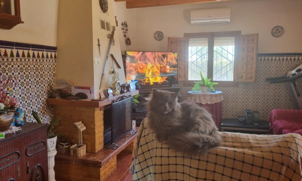 Herverkoop - Finca Landelijk pand -
Hondón de las Nieves