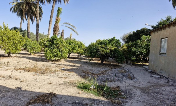 Sale - Finca Country Property -
Elche