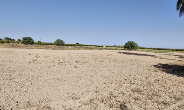 Sale - Finca Country Property -
Elche