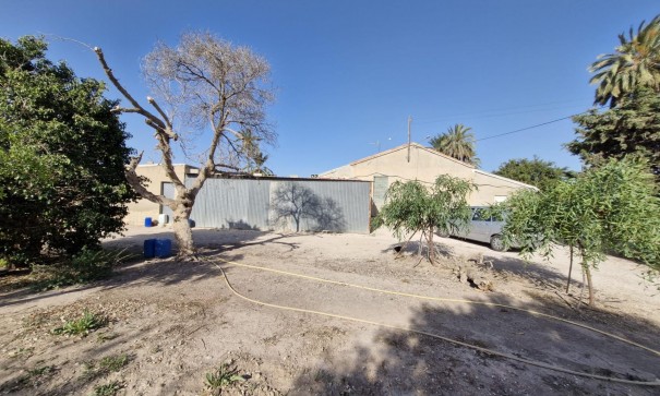 Sale - Finca Country Property -
Elche