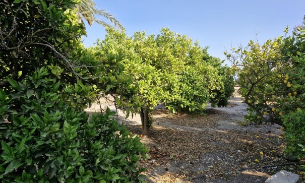 Sale - Finca Country Property -
Elche