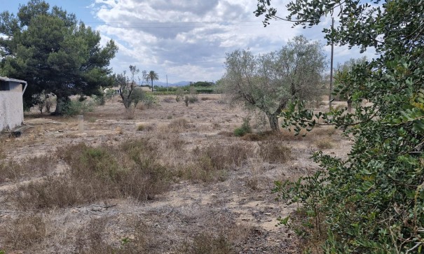 Sale - Finca Country Property -
Elche