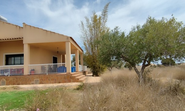 Sale - Finca Country Property -
Elche