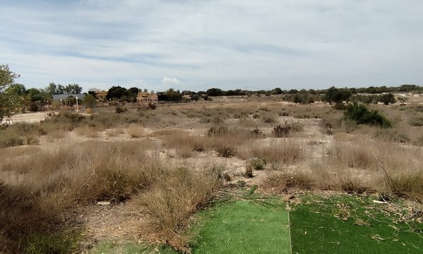 Sale - Finca Country Property -
Elche